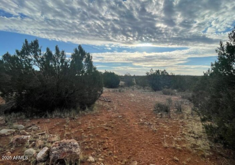 0460 landscape 2