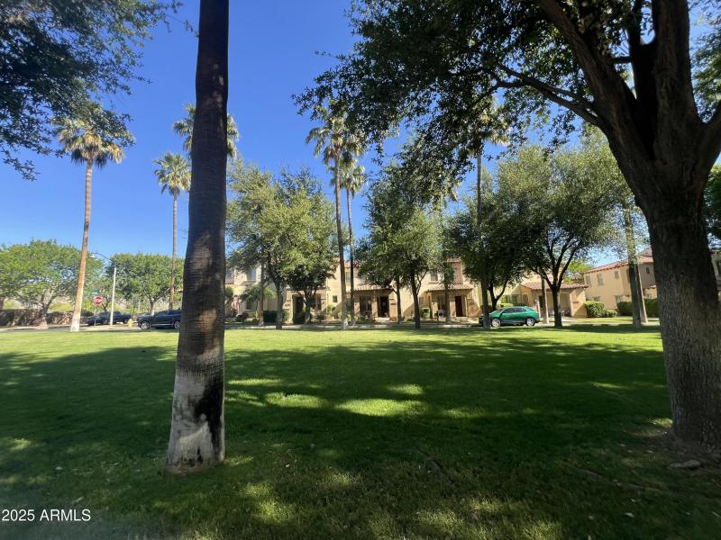 Park in front of home