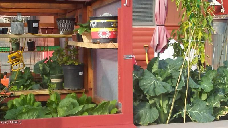 20181211_092828_Burst01