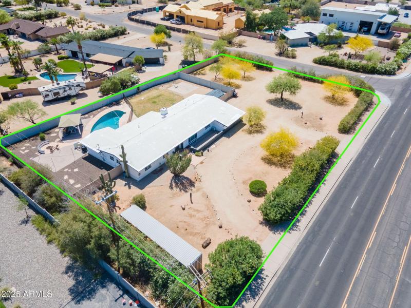 8-web-or-mls-Cactus-4