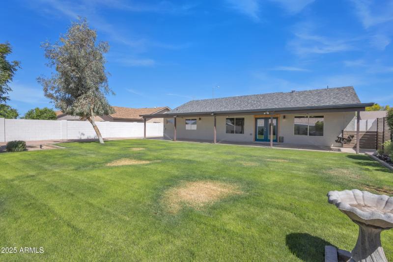 Backayrd Back Middle