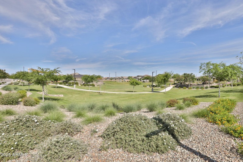 5-web-or-mls-IMG_0001