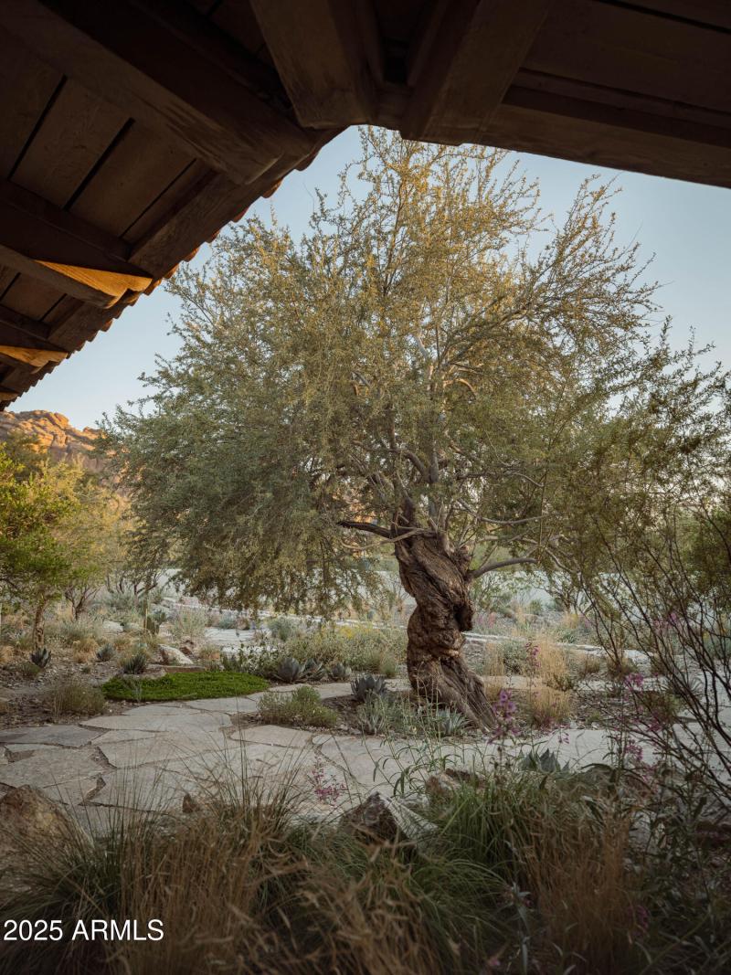 JR04 TGR - Arroyo Verde 3227 WEB