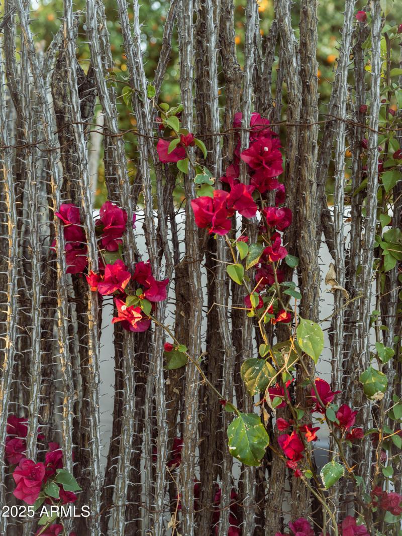 JR04 TGR - Arroyo Verde 3328 WEB