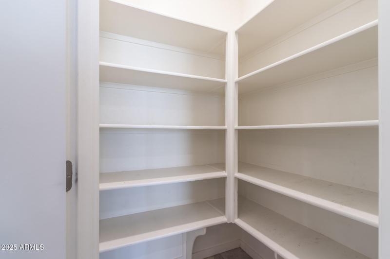 IMG_6054-Enhanced-NR