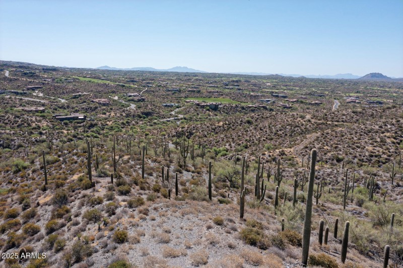 41927 n charbray 01-001-026-1500x1000