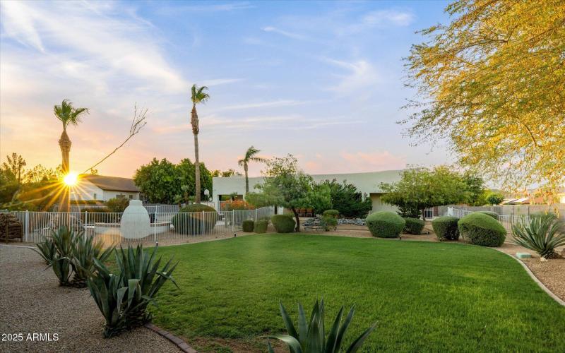 Backyard Serenity at Its Finest