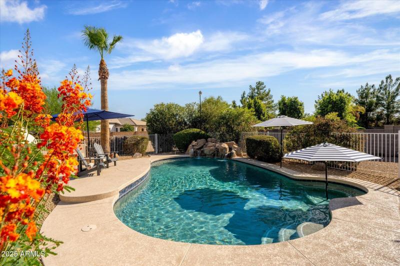 Soak In the Arizona Sun