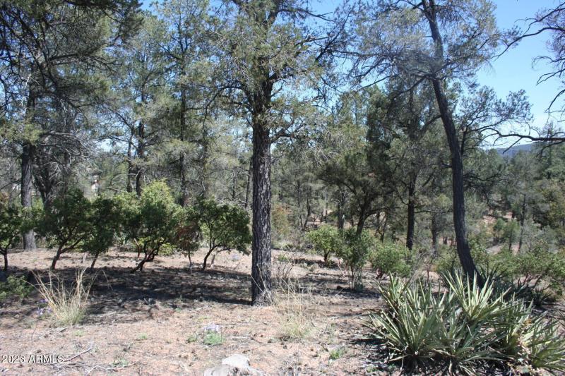 0AFDBDBB-F220-437B-A047-D2749D5E149B