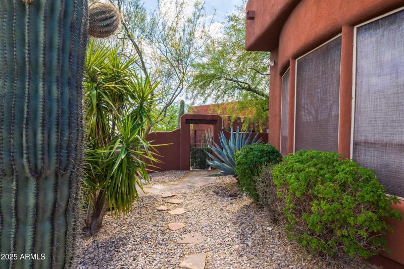 Gorgeous Desert Landscaping