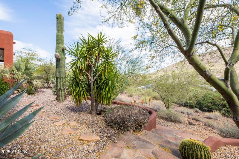 Gorgeous Desert Landscaping