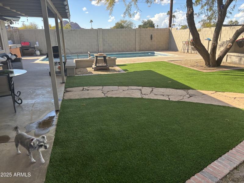 Granada yardIMG_1687 2