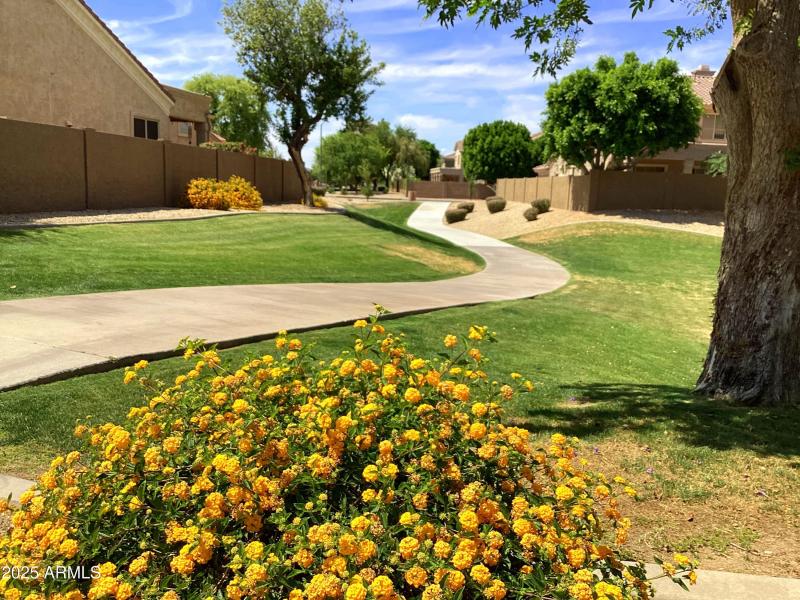 K Community Greenbelt 4