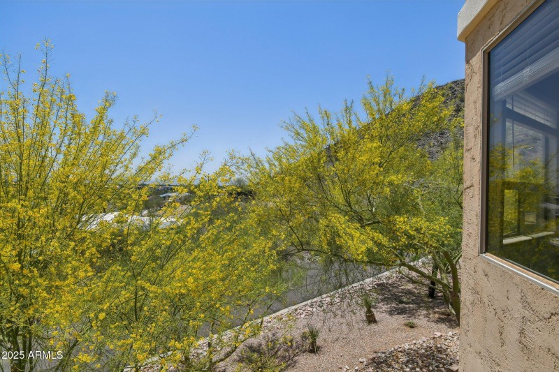 Lush Desert Landscaping