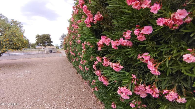 IMG_20250504_153740698