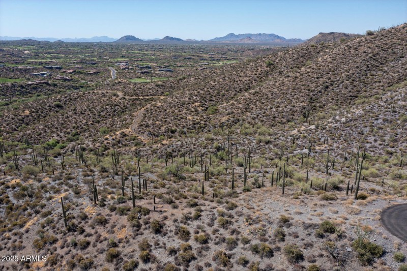 41927 n charbray 02-002-035-1500x1000