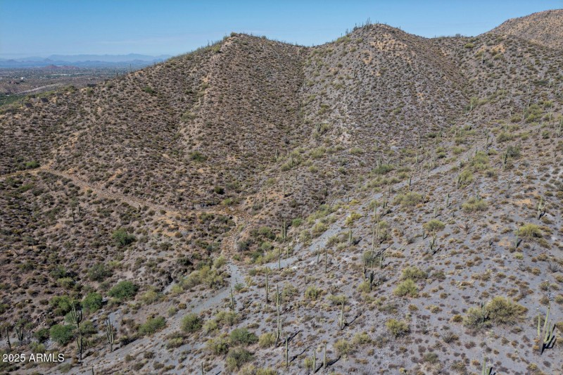 41927 n charbray 04-004-034-1500x1000