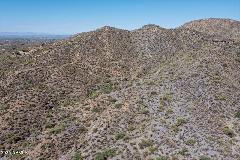 41927 n charbray 11-010-038-1500x1000