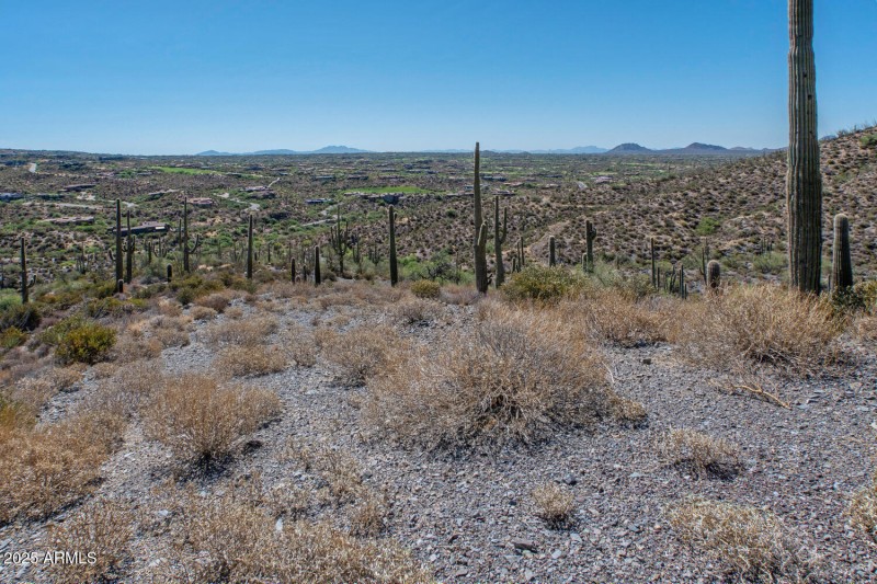 41927 n charbray 12-011-021-1500x1000