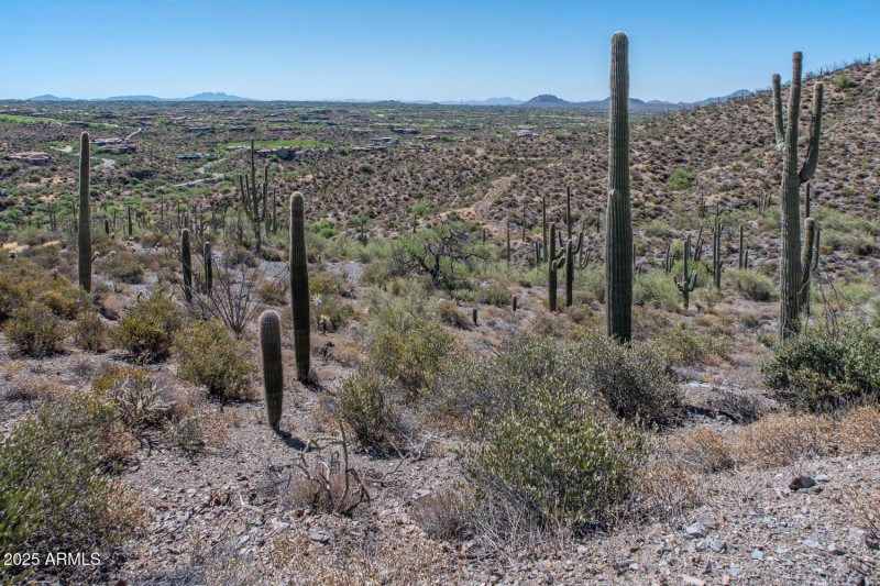 41927 n charbray 13-012-028-1500x1000