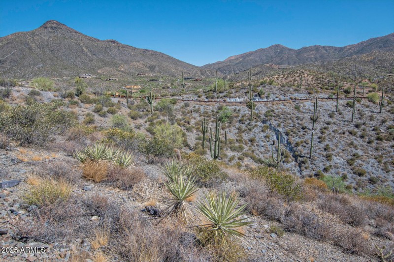 41927 n charbray 14-013-042-1500x1000