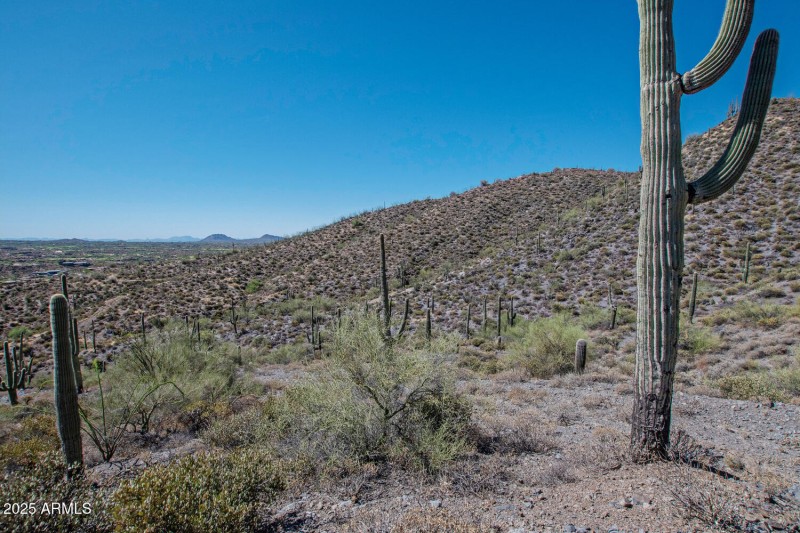 41927 n charbray 15-014-029-1500x1000