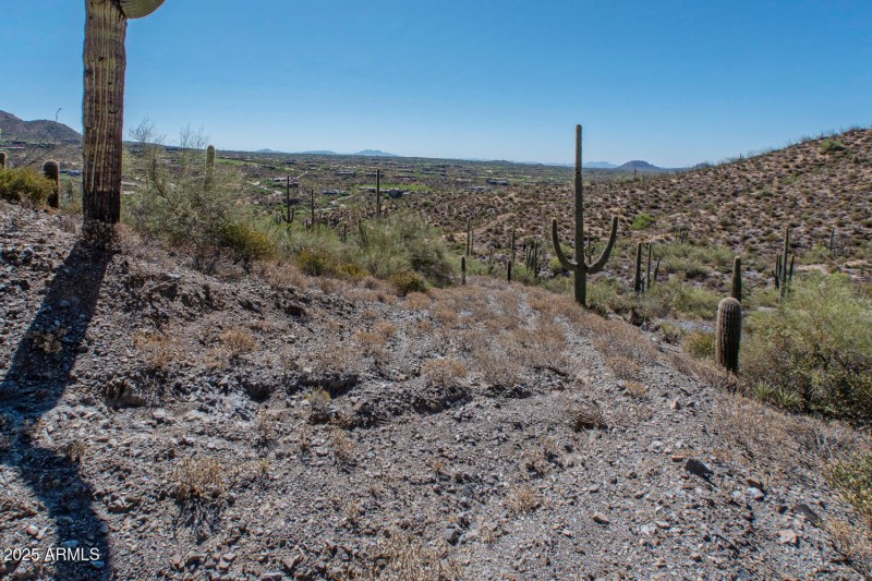 41927 n charbray 16-015-020-1500x1000