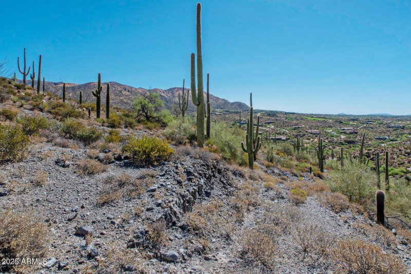 41927 n charbray 17-016-027-1500x1000