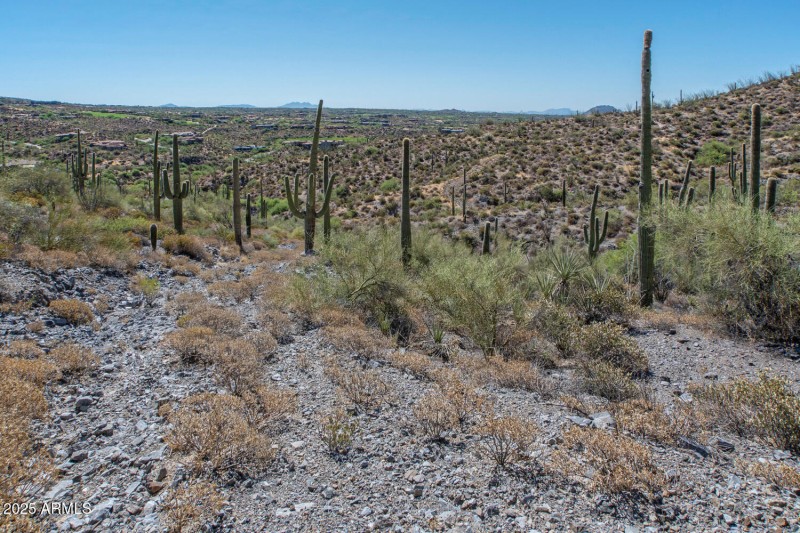 41927 n charbray 18-017-024-1500x1000