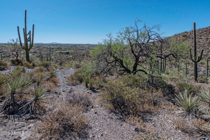 41927 n charbray 19-018-025-1500x1000