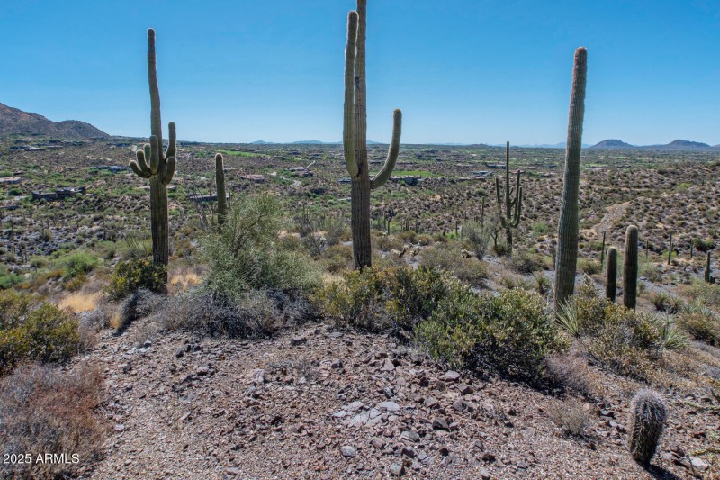 41927 n charbray 21-020-031-1500x1000