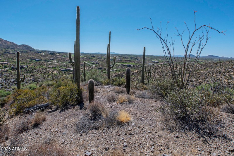 41927 n charbray 22-021-032-1500x1000