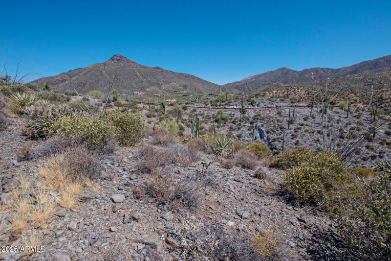 41927 n charbray 24-023-044-1500x1000