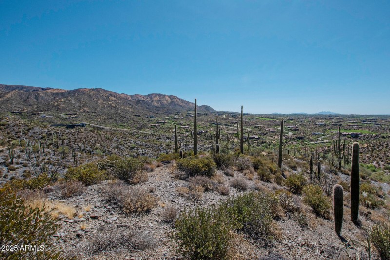 41927 n charbray 25-024-030-1500x1000