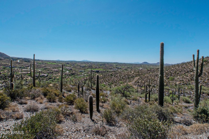 41927 n charbray 26-025-023-1500x1000