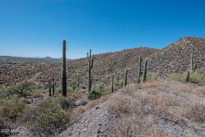 41927 n charbray 27-026-036-1500x1000