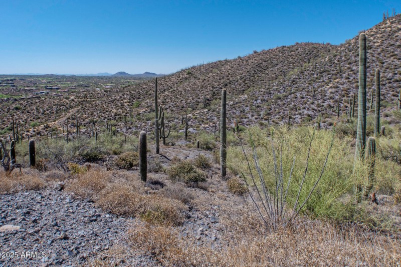 41927 n charbray 29-028-047-1500x1000