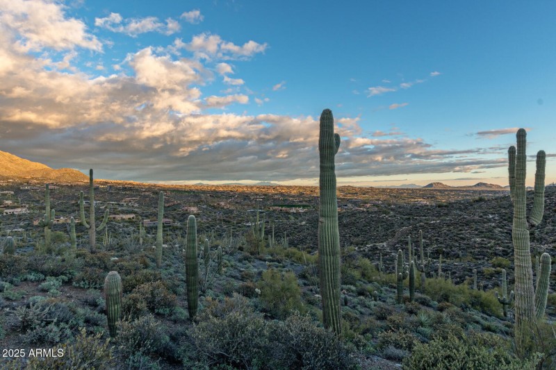 41927 n charbray 30-029-051-1500x1000