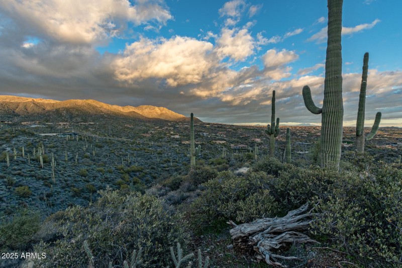 41927 n charbray 31-030-049-1500x1000