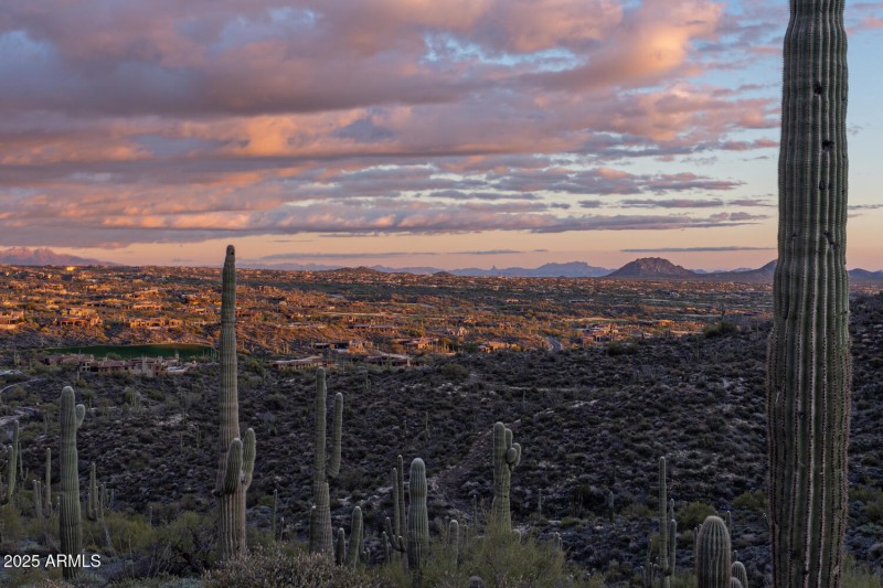 41927 n charbray 32-031-052-1500x1000