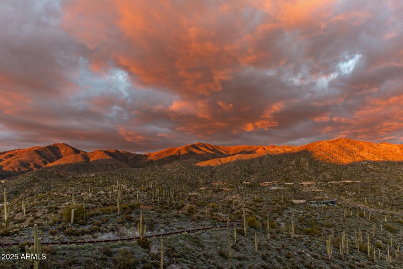 41927 n charbray 37-036-054-1500x1000