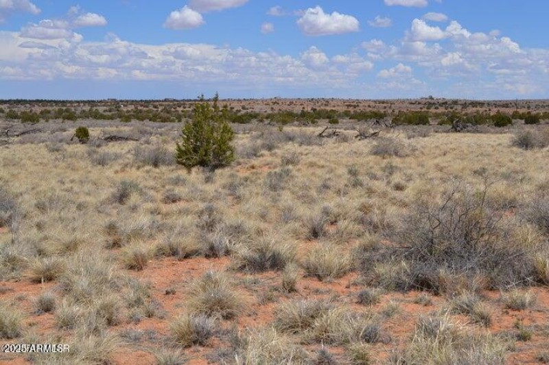 20250502203150063298000000-o