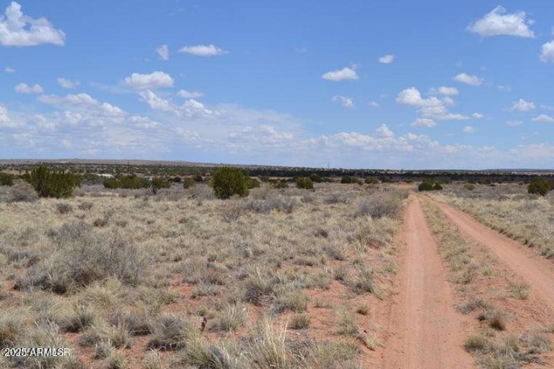 20250502203151520881000000-o