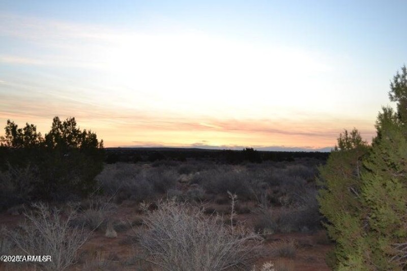 20250502203135562088000000-o