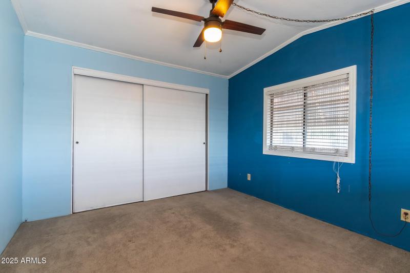 IMG_6175-Enhanced-NR