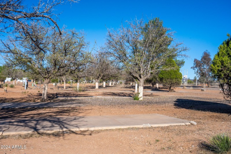 2088esaddlegapcir-21