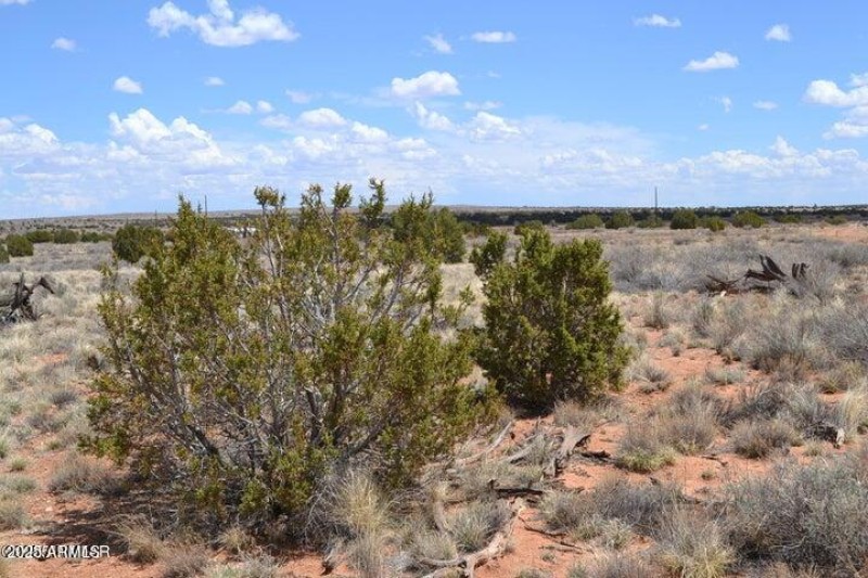 20250502203942560267000000-o