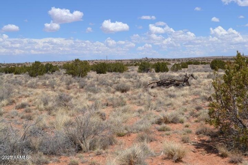 20250502203941123359000000-o