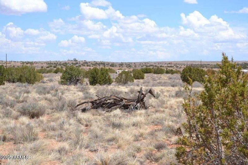 20250502203944080518000000-o