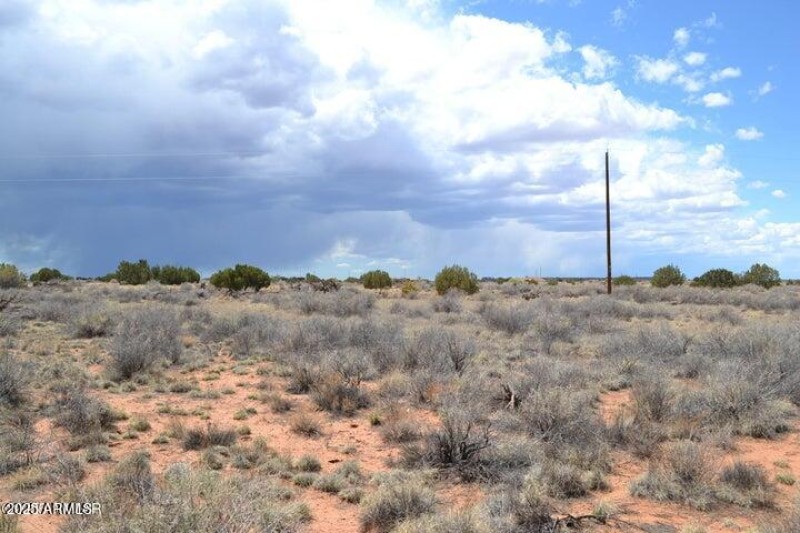 20250502203950010715000000-o